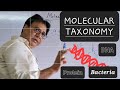 Molecular Taxonomy| Bacterial Identification