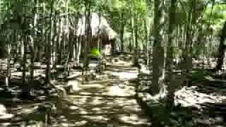 MVI_1648_xvid.avi