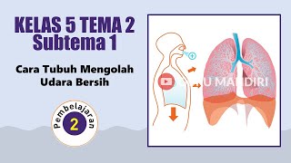 Kelas 5 Tema 2 Subtema 1 Pembelajaran 2