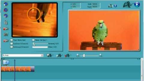 Media Zone Trigger - Single Trig Project
