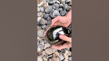 Fossil discovery 180 million years ago #shorts #fossils