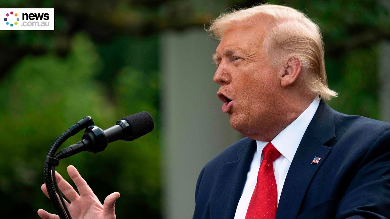 Donald Trump speaks from the White House Rose Garden on 14 July 2020 ...
