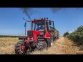 Búza aratás 2021 🌾 MTZ 82 Turbo + 2x MBP | Claas Dominator 80 | Akcióban a veteránok! 💪