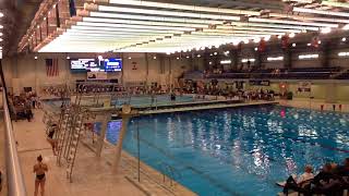 2018 Big East Championship Diving 3 Meter Taylor Jackson