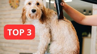 TOP 3 : MEILLEUR PULSEUR POUR CHIEN 2024