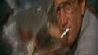 Famous Roy Scheider Tribute: All That Jaws Profile