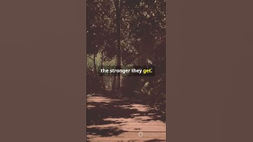How Does the Brain Store Memories  🧠  #sciencefather  #neurosciencefacts