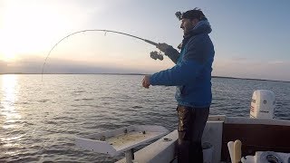 Chumming Up Monster Scup And Tautog On Cape Cod