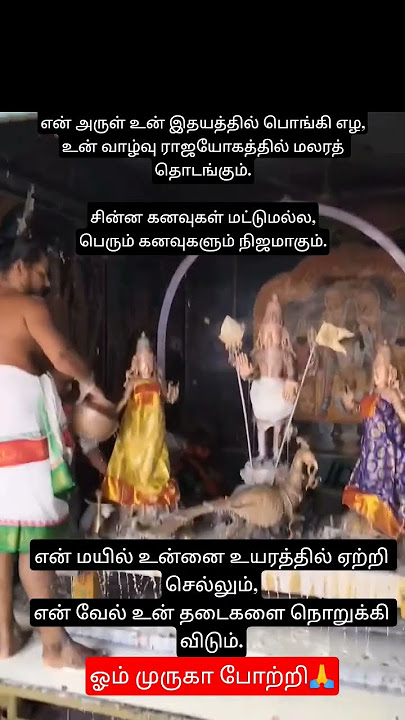 முருகன்வாக்கு🙏#divine#lordmuruga#tamilkadavul#bakthitv#murugan#hindugod#hindudeity #கந்தசஷ்டிவிரதம்