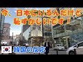 【韓国の反応】今、日本にいるんだけど、恥ずかしいです！【観光客・韓国人の反応・海外の反応】