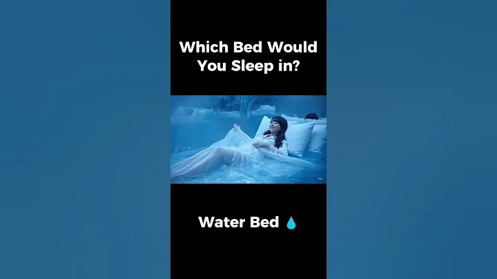 Which Bed Would You Sleep in？🛏️