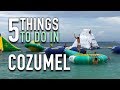 5 Things To Do In Cozumel