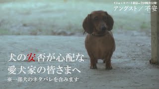 一家惨殺事件を映画化…衝撃作『アングスト／不安』“犬だけは無事”特別映像