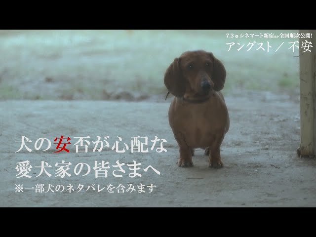 一家惨殺事件を映画化…衝撃作『アングスト／不安』“犬だけは無事”特別映像