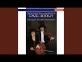 Miniature de la vidéo de la chanson Sonata For Violin And Violoncello I - Allegro