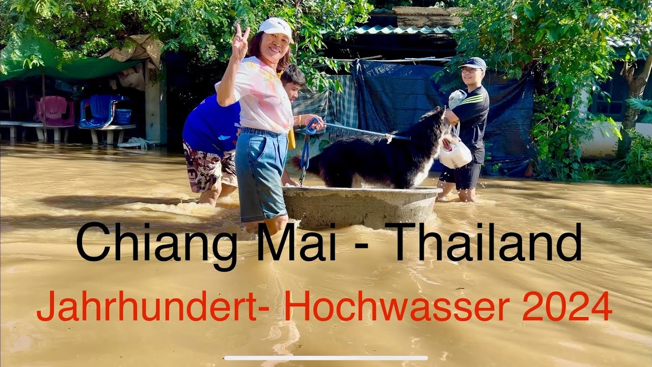 Thailand Chiang Mai - Hochwasser 2024, tausende Häuser geflutet, 30%  Stadtgebiet. Katastrophe