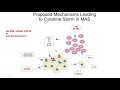 Clinical and Pathophysiologic Overlap Between HLH and MAS