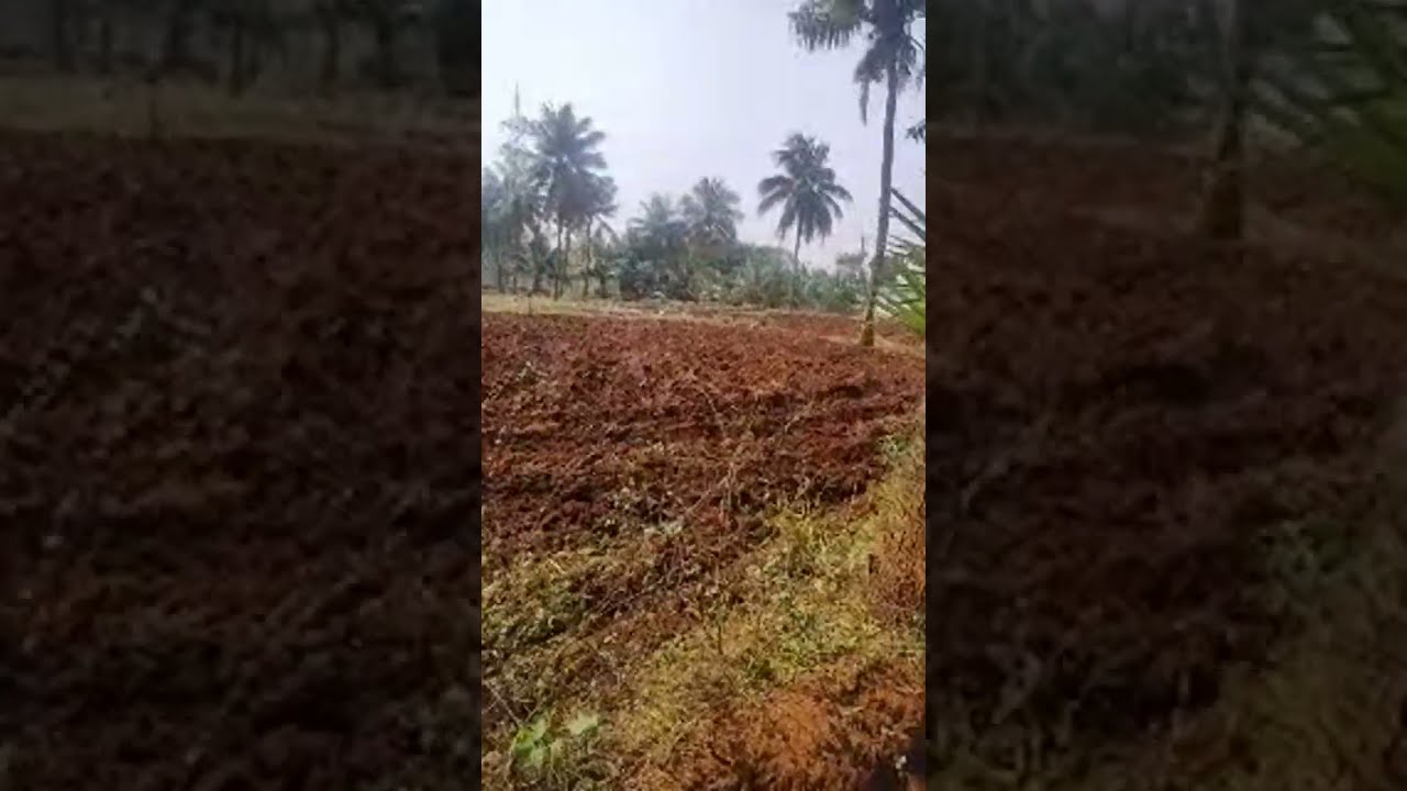 விவசாய முறை | Marsia farm 2010 is live