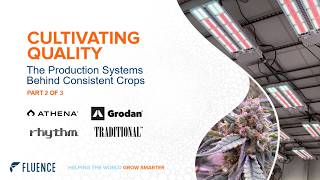 Cultivating Quality: The Production Systems Behind Consistent Quality Cannabis