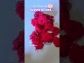 Easy Crochet Paranda🌸#diy #craft #millionviews #ytshorts #viral #shorts#crochetcraft#woolenparanda