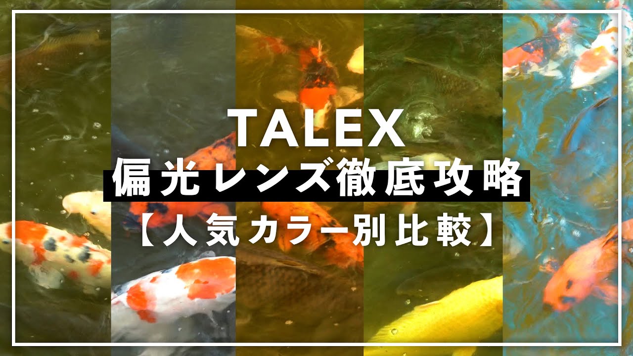 【偏光レンズ攻略】“TALEX”レンズの性能を実証！人気カラーの魅力を大解剖！