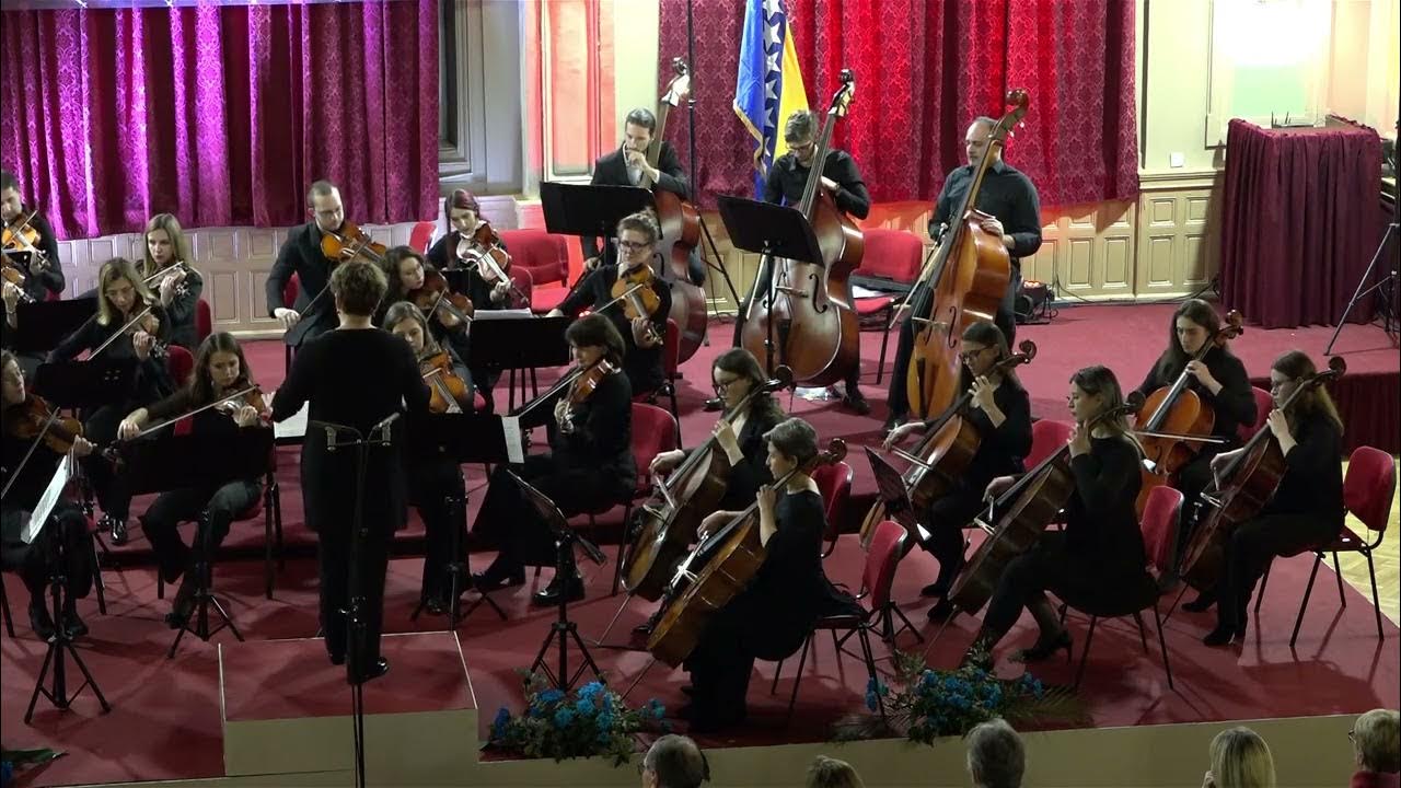 E. Elgar Serenade for strings, e minor Larghetto YouTube