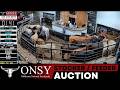 OKC NATIONAL STOCKYARDS LIVE 🐂 6,000+ Head Cattle Market Monday | 4.27.26