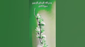 سورة لقمان بصوت جميل بصوت القارئ عكاشة كميني راحة نفسية 🥰🥰🥰😌😌❤️❤️❤️😌