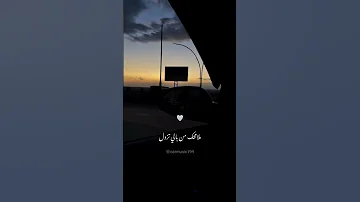 بتمنى تزول ملامحك من بالي تزول بتمنى انساك شيرين عبدالوهاب 
