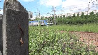 EF210-140号機[吹]牽引950レ & ムカデ