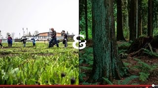 How Forterra Works