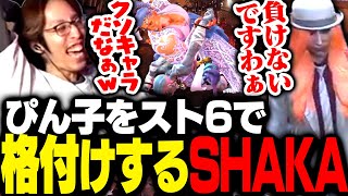 ダルシム使いぴん子をスト6で格付けするSHAKA【ストリートファイター6】