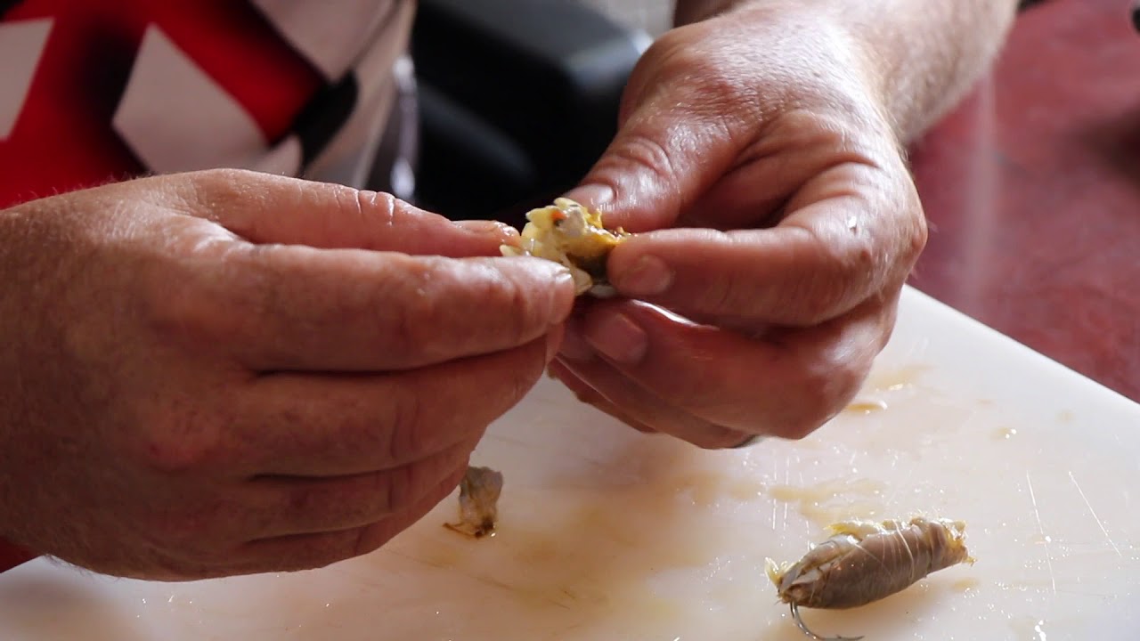 Baits -  Best Bait for Pompano