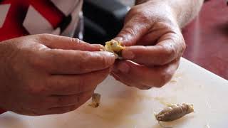 Baits -  Best Bait for Pompano