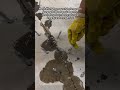 High-Pressure Concrete Crack Injection
