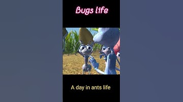Bugs life movie clip🎬