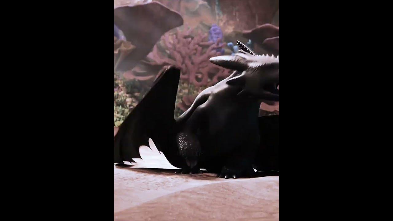 hope you enjoyed it 💗 How to Train Your Dragon 3 Light Fury, Toothless