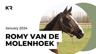 ROMY VAN DE MOLENHOEK