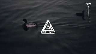 Jon Bellion x Quinn XCII Type Beat | Hip Hop Pop | “Morning”
🎧 Jon Bellion x Quinn XCII Type Beat – Morning
🎼 BPM: 96 | Key: A Major
đź’µ Purchase / Download: https://bsta.rs/vgX7Pb
đź“§ Email: contact@astoriablvd.com
📸 Instagram: https://www.instagram.com/astoriamakesmusic/
Morning is an uplifting, emotional pop rap instrumental blending the melody-driven energy of Jon Bellion with the flair of Quinn XCII. With warm chord progressions, catchy hooks, and textured production, its perfect for artists who want to tell their story, deliver meaningful vocals, or create feel-good content.
âś… Great for:
- Pop rap / alt-pop vocalists
- Story-driven songwriting
- Uplifting videos & montages
- Sync placements (lifestyle ads, vlogs, fashion)
👇 Drop a comment with what style you want to hear next!
🎥 Video credit: https://archive.org/details/203856_Sanford_Collection_010012 Jon Bellion x Quinn XCII Type Beat | Hip Hop Pop | “Morning”