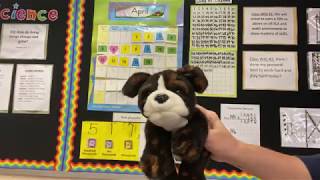 4/17 Calendar Math Pt. 1