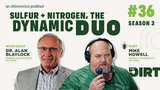 Sulfur and Nitrogen, The Dynamic Duo