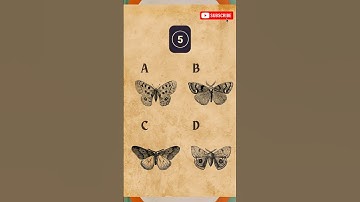 Memory Test Challenge 🤯😍 Intuition test #intuitiontest #testyourskills #braingames