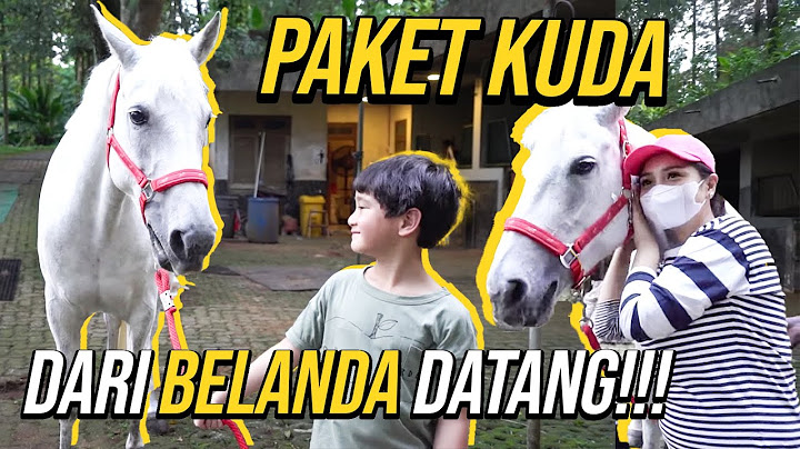NAGITA MENUNGGU BERBULAN- BULAN AKHIRNYA PESANAN KUDA DARI BELANDA MENDARAT DI JAKARTA....