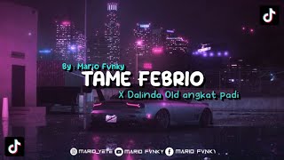 DJ TAME FEBRIO X OLD DALINDA ANGKAT PADI || SLOWED   REVERB 🌠