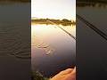 FISHING SHOULD ALWAYS BE THIS EASY!!