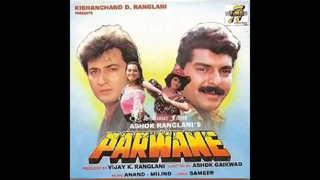 AVINASH WADHAWAN HIT MOVIES 