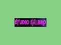 Salibro studio