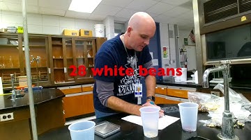 PAP Average Atomic Mass Lab