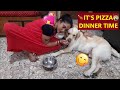 IT&#39;S PIZZA DINNER TIME FOR COCO &amp; ANGEL | EVERY DOG FOR HIMSELF | 😱😱| WATCH WHAT HAPPENS IN THE END🤣