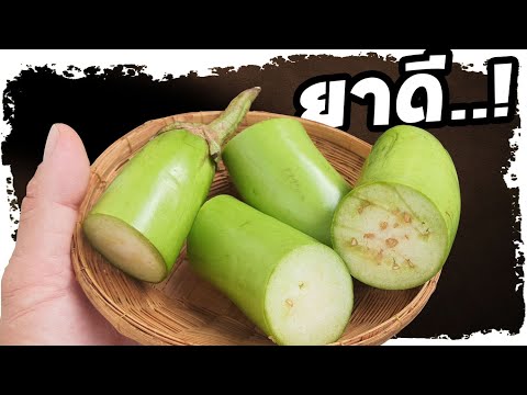 น่าจะเชื่อแต่แรก..!!  ให้กินมะเขือยาว เพราะเหตุนี้  มีอีกหลายคนไม่รู้ | Nava DIY